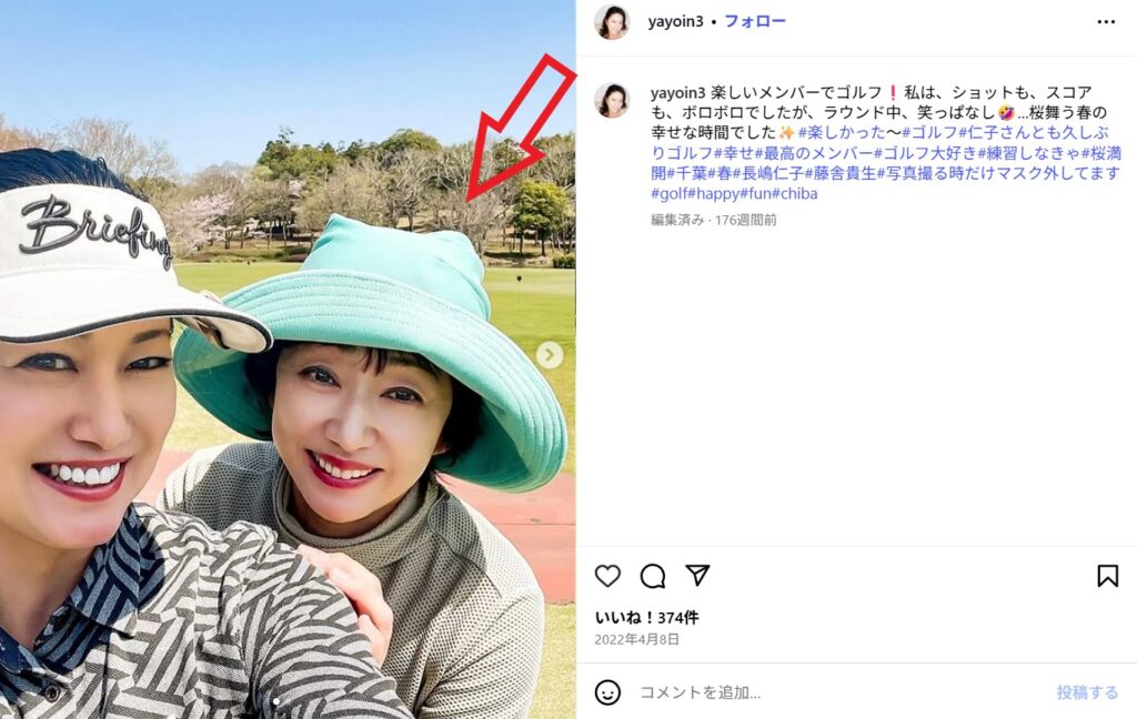 長嶋一茂さんの奥さんの顔